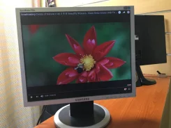 Samsung. 17", ���������� �� (LCD)