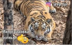 Милоградовские водопады. Нац. парк "Зов тигра"