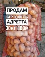 Картофель.