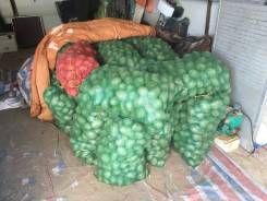 Картофель.