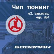 ЧИП-тюнинг Вашего авто! Отключение EGR, SAP, EVAP, DPF.
