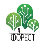 Программист. ООО "Форест". Улица Союзная 28