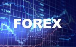 Провожу обучение торговле на рынке Forex