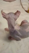 ����. ��� ����� �� ������������ ����
