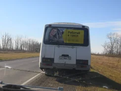 ��� 3205 ����