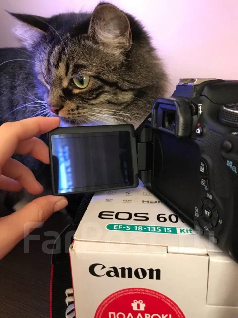 Canon EOS 600D ����