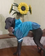 ������. ����