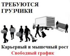 Грузчик. ИП Осипов