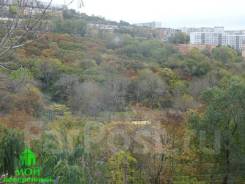 3-комнатная, улица Луговая 63. Луговая, агентство, 59 кв. м.