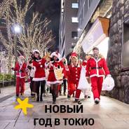 Япония. Токио. Экскурсионный тур. Новый год в Японии 30.12-06.01. Семеновская 7А