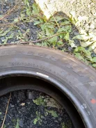 Bridgestone Mighty RIB. ������, ����� ����
