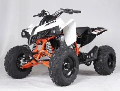 Kayo SMax 250. ��������, ���� ���\���, ��� �������. ��� ����� �� ������������� ����