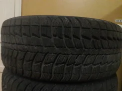 Federal. ������, ��� �����, 2017 ���, �/�, ����� 5�%