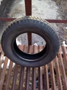 Gislaved Nord Frost C. ������, 2014 ���, �/�, ����� 10�%