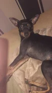 �����������. ����