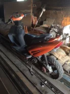 ABM Thunder. 50����. ��., ����������, ��� ���, � �������� ����