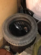 Cordovan. ������, ����������, 2016 ���, �/�, ����� 5�% ����