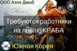 Требуются работники на ловлю Краба. Южная Корея.