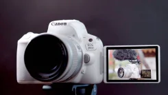 Canon EOS 200D. 20 � ����� ��, ���: 14� � �����