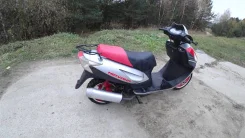 Irbis Nirvana. 150����. ��., ��������, ���, � �������� ����