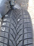 Sonar. ������, ��� �����, 2009 ���, �/�, ����� 10 %. ��� ����� �� ����������� ������ ����