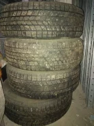 Gremax. ������, ����������, 2014 ���, �/�, ����� 50 % ����