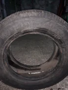 Toyo Winter Tranpath M2. ������, ��� �����, �/�, ����� 10�%