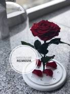 Розы.