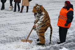 Уборка Снега