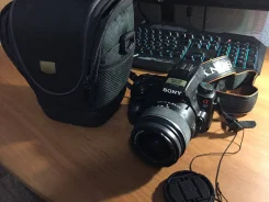 Sony Alpha SLT-A37. 15 - 19.9 ��, ���: 14� � ����� ����