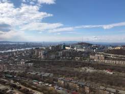 4-комнатная, улица Ладыгина 2д. 64, 71 микрорайоны, агентство, 95 кв. м. Вид из окна днём