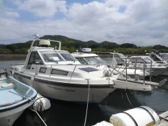 Yamaha FR-27. 1993 ���, ����� 8,5��., ��������� ������������, 190��.�., ������. ��� ����� �� ������������ ����