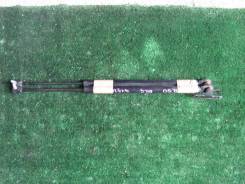 Амортизатор двери багажника. Nissan Terrano, LR50, RR50, PR50, LVR50, TR50 Nissan Terrano Regulus, JTR50, JRR50, JLR50 Двигатели: QD32ETI, VG33E, TD27...
