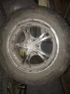 Toyo Winter Tranpath. ������, 2015 ���, �/�, ����� 20�%