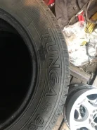 Tunga Extreme Contact. ������, ����������, 2016 ���, �/�, ����� 5�%