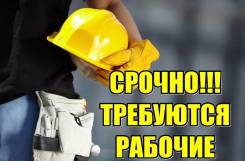 Разнорабочий. ИП Иванов И.И. Город (пригород)