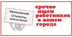 CRM-менеджер. ИП Верон Р.С,. Улица Муравьёва-Амурского 54