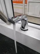 ���������. ����