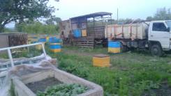 Мед, медовые продукты.