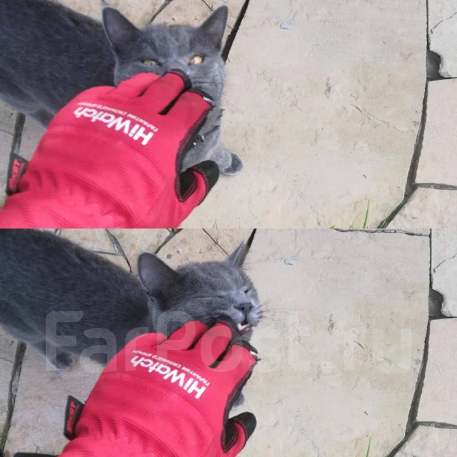 Установка камер, монтаж видеонаблюдения. Гарантия. Подбор видеокамер во ...