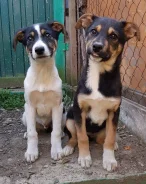 ������. ����