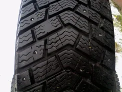 Kelly Winter Ice. ������, ����������, 2017 ���, �/�, ����� 10 % ����
