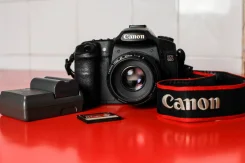 Canon EOS 50D. 15 - 19.9 ��, ���: ��� ���� ����