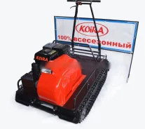Koira. ��������, ��� ���, ��� �������. ��� ����� �� �������� ����