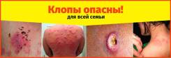 Избавьтесь от клопов навсегда 100% уничтожение насекомых!