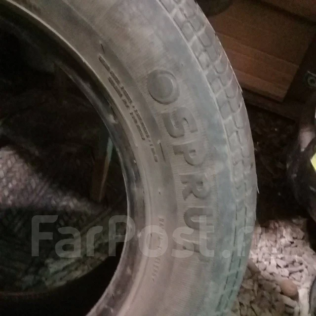 Sprut. ������, 2008 ���, �/�, ����� 20 % ����