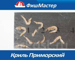 Криль мелкий(планктон) местный свежемороженый 2021г - Рыболовные ...
