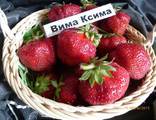 Клубника.
