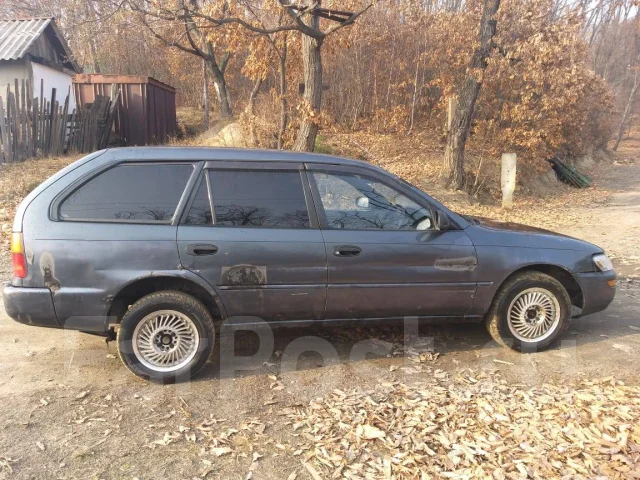 Toyota Sprinter. �������, ��������, 1.5 (87��.�.), ������, 250 000����. �� ����