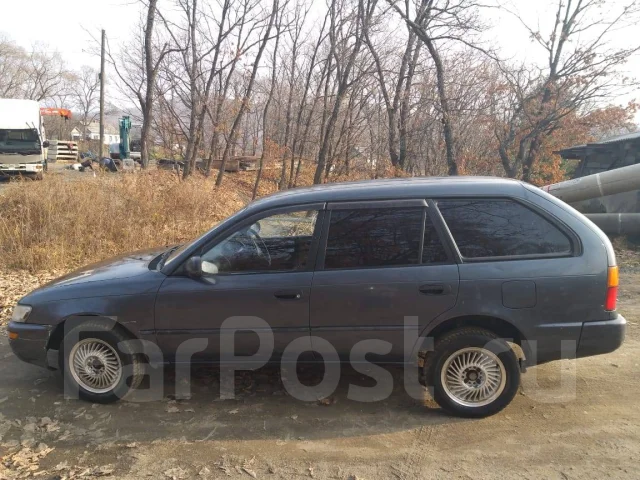 Toyota Sprinter. �������, ��������, 1.5 (87��.�.), ������, 250 000����. �� ����